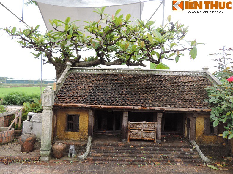 Tieu canh tu bonsai dep me hon cua nghe nhan Hai Phong-Hinh-3